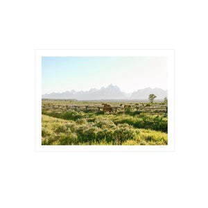 Jackson Hole Ranch Print