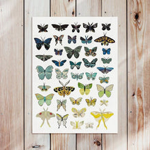 Load image into Gallery viewer, Dolan Geiman Signed Print Butterflies (Dusk)