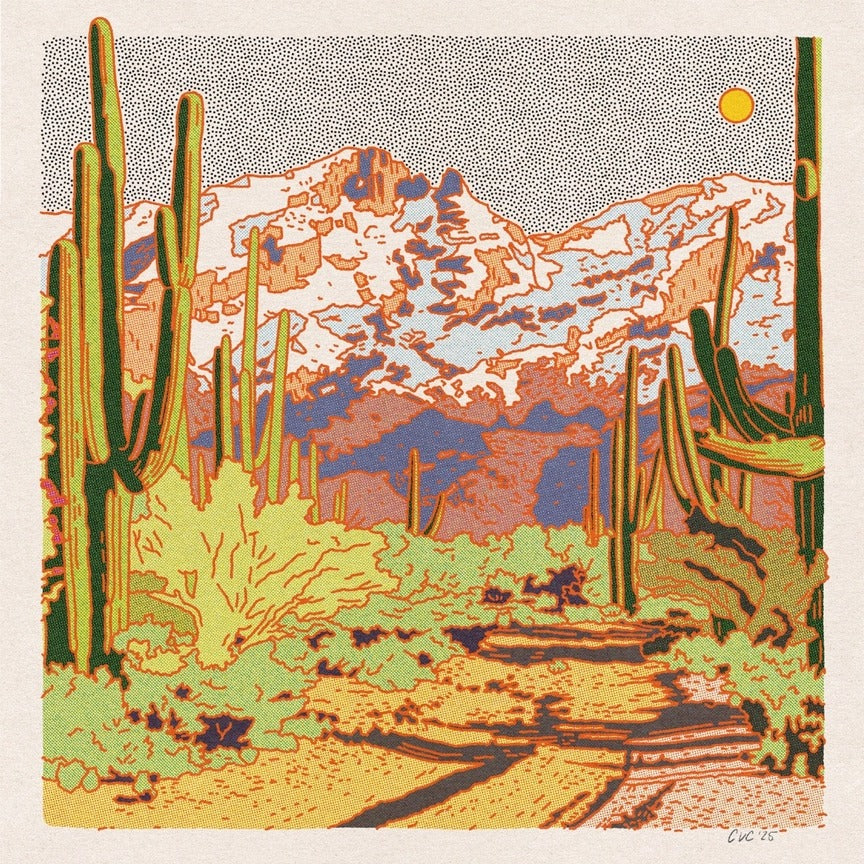 Catalina Desert Print