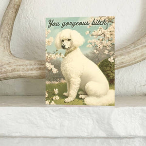 You Gorgeous Bitch Poodle Card