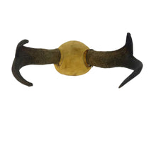 Load image into Gallery viewer, Pronhorn Antelope Horns