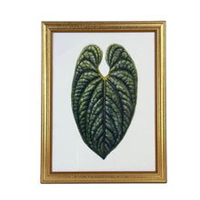 Load image into Gallery viewer, Anthurium Leaf Framed Print