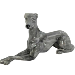 Gray Greyhound Dog