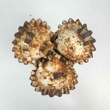 Load image into Gallery viewer, Oil &amp; Gas Drill Bit