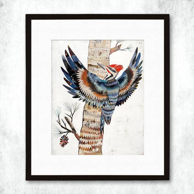 The Great Woodpecker Signed Print