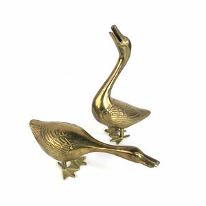 Brass Ducks