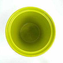 Load image into Gallery viewer, Fiesta Dog Treat Jar