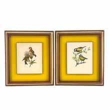 Load image into Gallery viewer, Yellow Framed Bird Prints