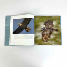 Load image into Gallery viewer, On Feathered Wings Birds Book