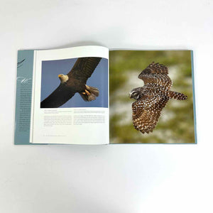 On Feathered Wings Birds Book