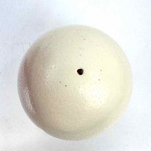 Load image into Gallery viewer, Ostrich Egg Shell