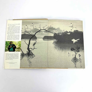 The Pleasure of Birds Book