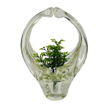 Load image into Gallery viewer, Murano Glass Basket Dish