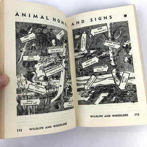 Boy Scout Handbook
