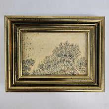 Load image into Gallery viewer, Manganese Dendrite Specimen