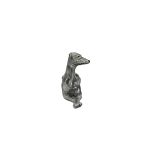 Gray Greyhound Dog