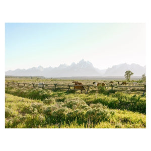 Jackson Hole Ranch Print