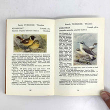 Load image into Gallery viewer, British Birds Book