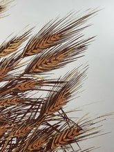 Load image into Gallery viewer, 1970s Wheat Mirror