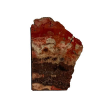 Load image into Gallery viewer, Petrified Wood Bookend