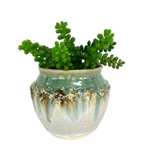 Load image into Gallery viewer, Studio Pottery Planter Vase