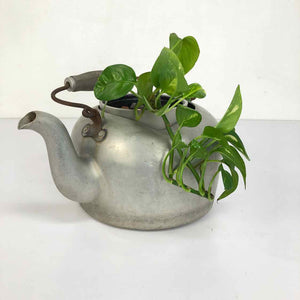 Aluminum Teapot Planter