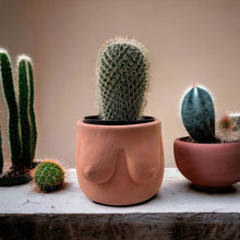 Load image into Gallery viewer, Concrete Boob Planter