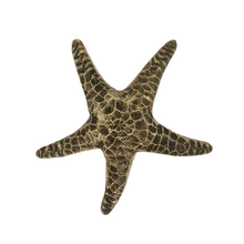 Load image into Gallery viewer, Solid Brass Starfish
