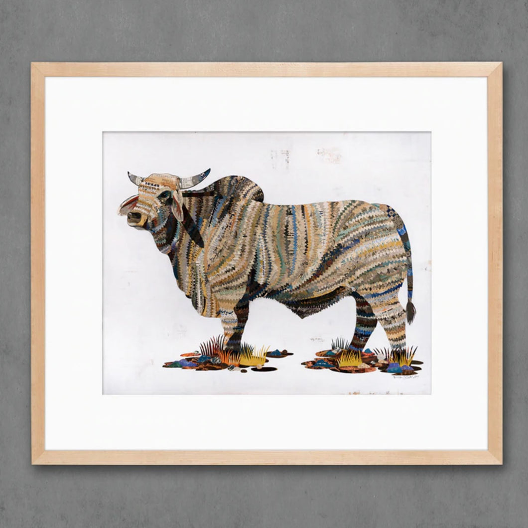 Brahman Bull Signed Print