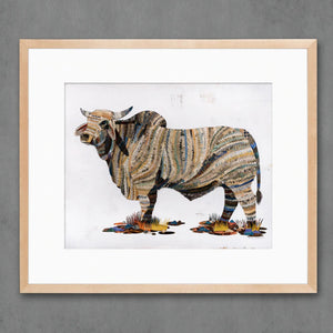 Brahman Bull Signed Print