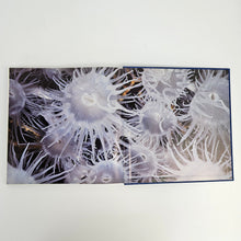 Load image into Gallery viewer, Undersea Life Book
