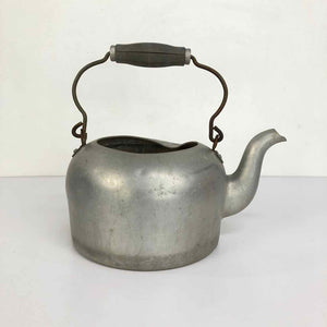 Aluminum Teapot Planter