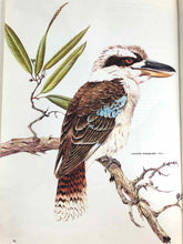 Load image into Gallery viewer, Australian Birds Book