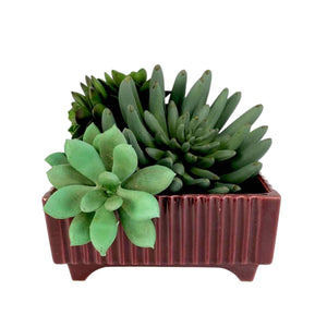 Low Square Pottery Planter