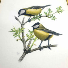 Load image into Gallery viewer, Yellow Framed Bird Prints