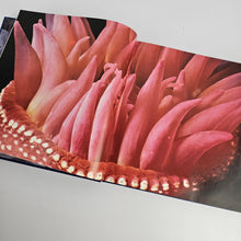 Load image into Gallery viewer, Undersea Life Book
