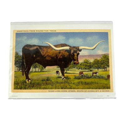 Round Top Longhorn Print