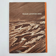 Load image into Gallery viewer, Skipper the Dolphin Book