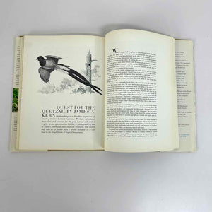 The Pleasure of Birds Book
