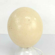 Load image into Gallery viewer, Painted Ostrich Egg