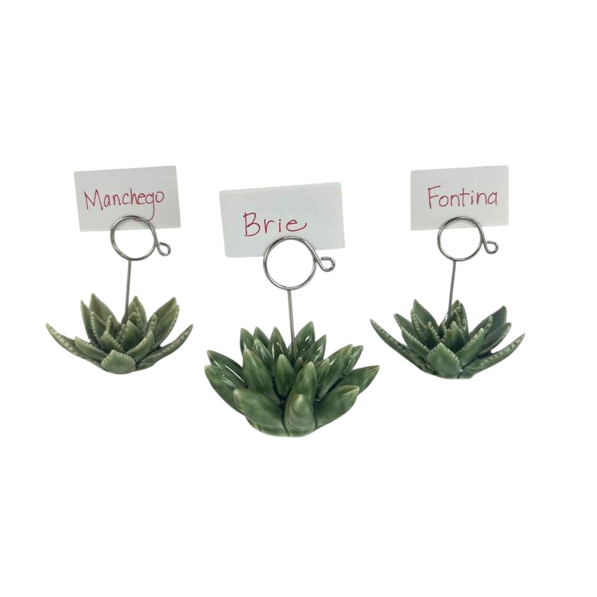 succulent card holder Porcelain Succulent Card Holder