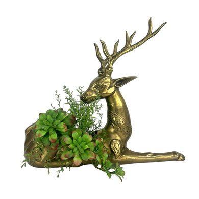Large Brass Reindeer Box