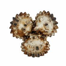 Load image into Gallery viewer, Oil &amp; Gas Drill Bit