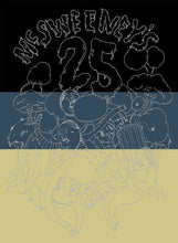 Load image into Gallery viewer, McSweeney's 25 Literary Journal Book