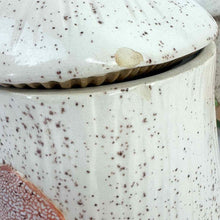 Load image into Gallery viewer, Arnels Mushroom Canisters