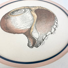 Load image into Gallery viewer, Letterpress Shell Prints