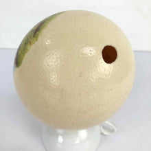 Load image into Gallery viewer, Painted Ostrich Egg