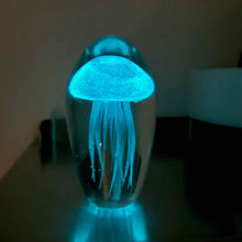 Load image into Gallery viewer, Glowing Jellyfish Paperweight