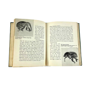 Southern Nature Stories Book