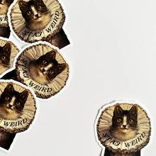 Load image into Gallery viewer, Stay Weird Cat Sticker